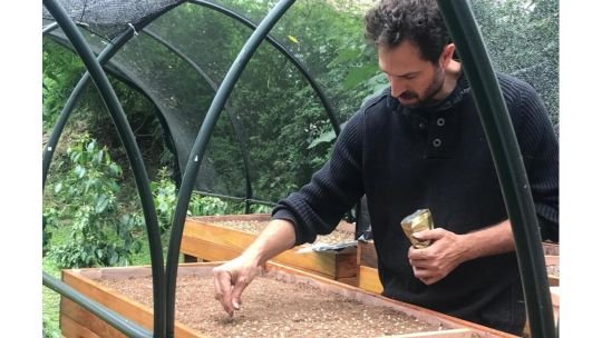 Tomás Forte: un caficultor argentino apasionado