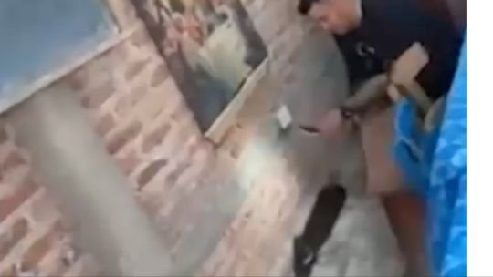 Una mujer encontró una serpiente de casi dos metros en la cocina en una capilla de Chaco