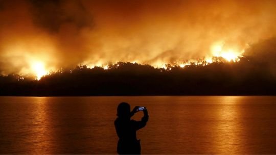 Denuncias y fuego fuera de control: el Gobierno intervino el parque nacional Los Alerces