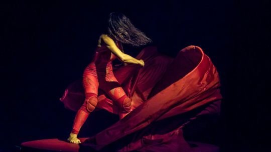 Limbótica: cuando el insomnio se convierte en una danza de bordes difusos