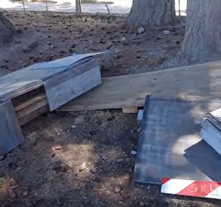 Respuesta inmediata para la escuela de Skate.