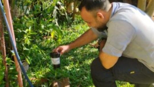 Misiones: se realizaron acciones de prevención y control del Aedes aegypti en distintos puntos de la provincia