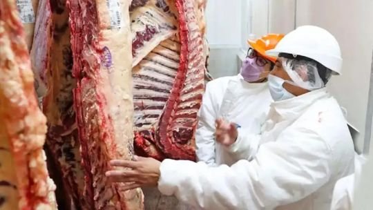 Récord histórico para la carne bovina: las exportaciones superaron los USD 3.700 millones en 2025