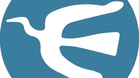 Argentina Open: una competencia desigual para seducir a las estrellas