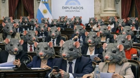 Aguiar se inspiró en Milei para repudiar la aprobación de la reforma laboral: “El Congreso se llenó de therians que se autoperciben ratas”