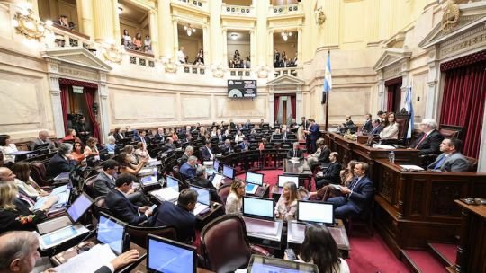 EN VIVO: el Senado debate la baja de imputabilidad a los 14 años
