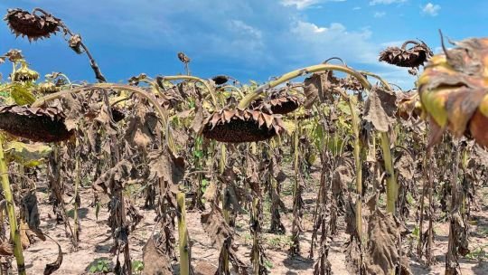 Riesgo país ambiental