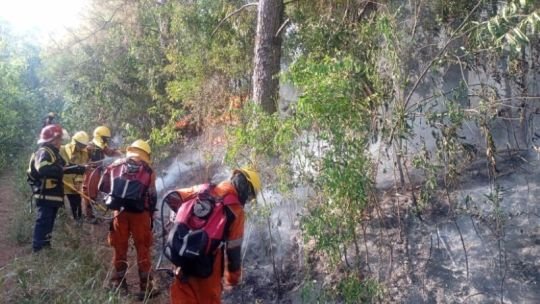 Alerta por incendios en Misiones: más de 70 hectáreas afectadas y casi 50 intervenciones