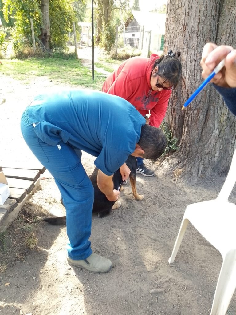 Jornada de Atención Veterinaria Municipal.