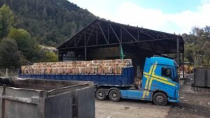 Dirección de Residuos Sólidos Urbanos – continúa la venta de cartón y aluminio.