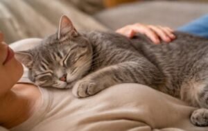 Cuál es el hábito simple que mejora el sueño y reduce el estrés, según expertos en salud