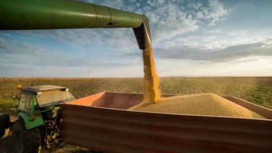 Ignacio Kovarsky: “No es el problema del desarrollo tecnológico de semilla lo que nos frenó a la producción”