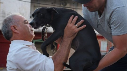 Giro en la causa “Alita”: el Fiscal General de Corrientes ordenó investigar la zoofilia como crueldad animal
