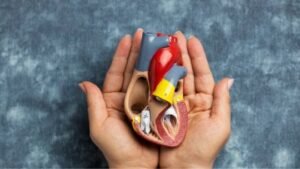 Día Mundial del Riñón 2026: claves para prevenir la enfermedad renal crónica y mejorar el acceso al tratamiento