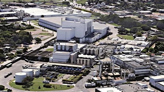 Arcor y Danone se quedan con La Serenísima y reconfiguran el mercado lácteo