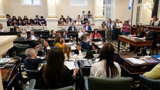 Ley de Narco test: proponen exámenes toxicológicos para los tres poderes en Corrientes