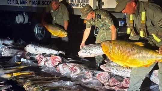 Tensión en Corrientes: se atrincheraron en un camión con más de 700 kilos de pescado protegido