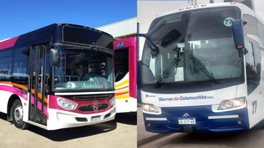 Transporte urbano de Córdoba: quiénes son las empresas que van a operar los corredores 2, 5, 7 y los 600