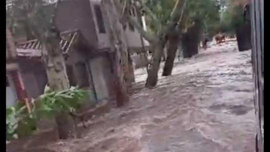 Dramáticas tormentas en Mendoza: casas inundadas, rutas cerradas y amplio operativo de emergencia