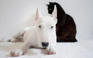 Llegó el frío: qué hay que revisar antes de encender las estufas de gas y evitar accidentes