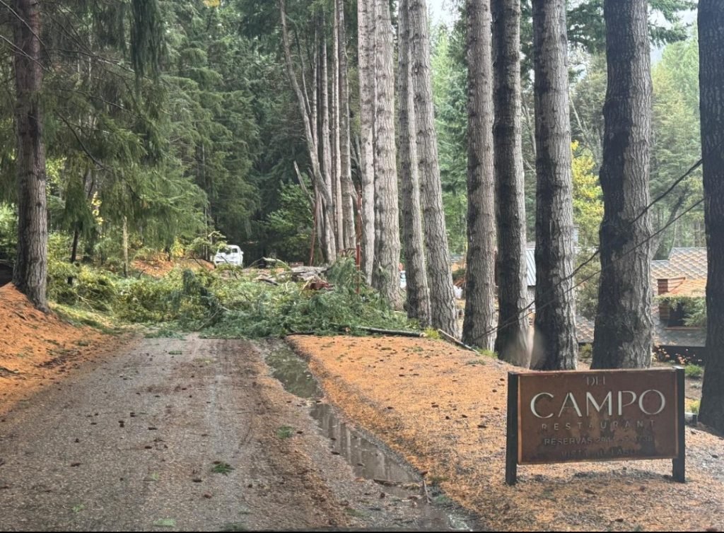 CORTE DE CALLE Y SERVICIO ELÉCTRICO EN MANZANO.