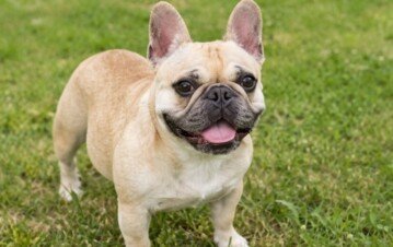 Expertos de todo el mundo alertan sobre el poder devastador del Súper El Niño: cómo afectaría a la Argentina