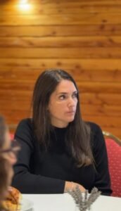 Mesa de Articulación Institucional de la Región de los Lagos del Sur.