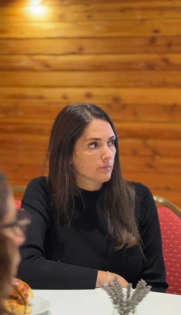 Mesa de Articulación Institucional de la Región de los Lagos del Sur.