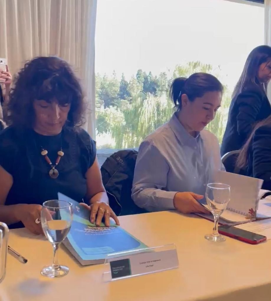 SAN MARTÍN DE LOS ANDES FUE SEDE DE LA TERCERA REUNIÓN DEL CONSEJO REGIONAL DE SEGURIDAD CIUDADANA