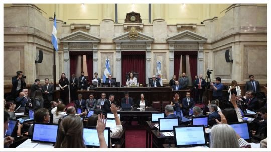 El Gobierno envió al Senado las reformas a las leyes de Discapacidad y Salud Mental