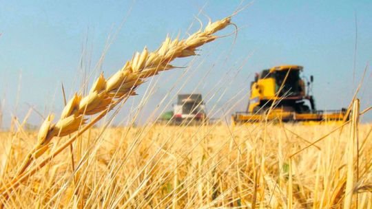 Crecimiento en económico en “K”: cuáles son los ganadores y perdedores del modelo Milei