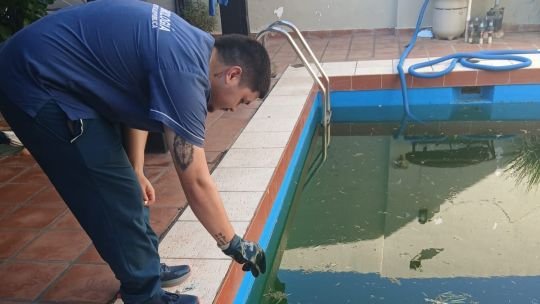 Dengue en Corrientes: Salud Pública advierte por posibles brotes en abril y mayo