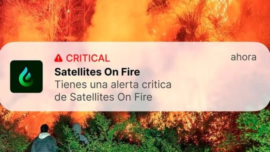 La startup argentina que detecta incendios forestales antes que la NASA: ya funciona en Córdoba y en 21 países