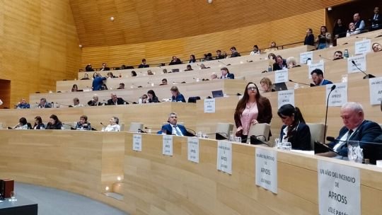 El “factor Milei” agitó la interna radical: duro cruce Rossi–Nicolás y tensión en la Unicameral por el PAMI