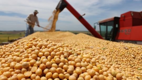Córdoba: el Estado se queda con el 60,2% de la renta agrícola en medio del impacto global por la guerra