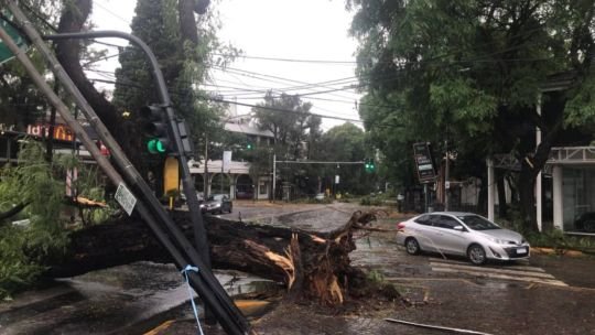 El violento temporal en el AMBA: inundaciones, agua en las casas, destrozos y miles de usuarios sin luz