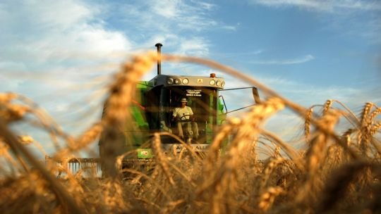 Del descarte al recurso: la revolución de la bioeconomía circular