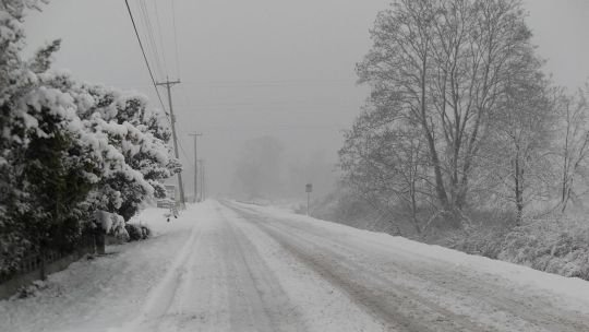 Ola polar: qué provincias continuarán afectadas y hasta cuándo