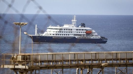 Hantavirus en el fin del mundo: científicos buscan la cepa Andes en ratones de Ushuaia tras tres muertes en un crucero