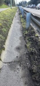 La Secretaría de Servicios Públicos realiza trabajos de limpieza y mantenimiento sobre la avenida Siete Lagos