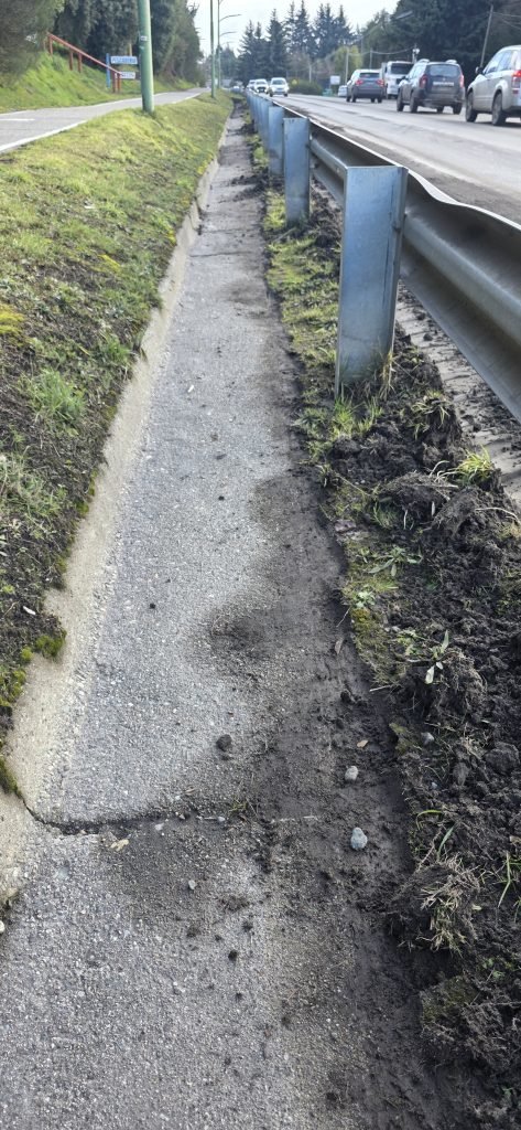 La Secretaría de Servicios Públicos realiza trabajos de limpieza y mantenimiento sobre la avenida Siete Lagos