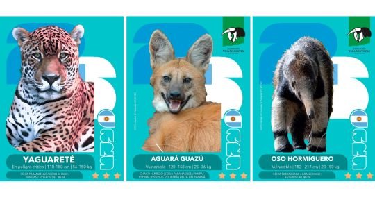 La ONG Vida Silvestre lanza un álbum y figuritas de animales en peligro de extinción para coleccionar y aprender