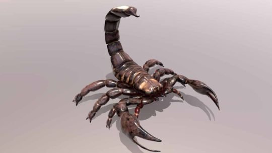 Científicos británicos identificaron un escorpión prehistórico gigante de un metro de largo