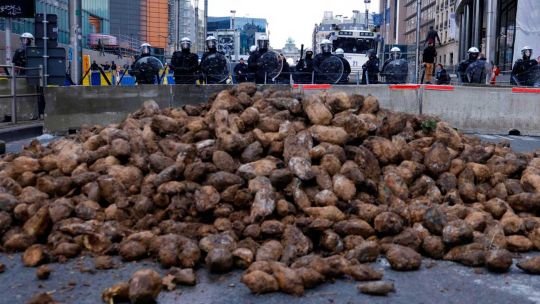 Agricultores europeos tiran cosechas enteras de papas por falta de compradores