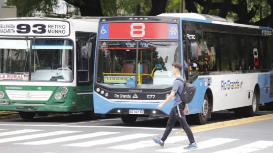 Feriado y fin de semana largo: cómo funcionará el transporte y los servicios públicos el 15 de junio