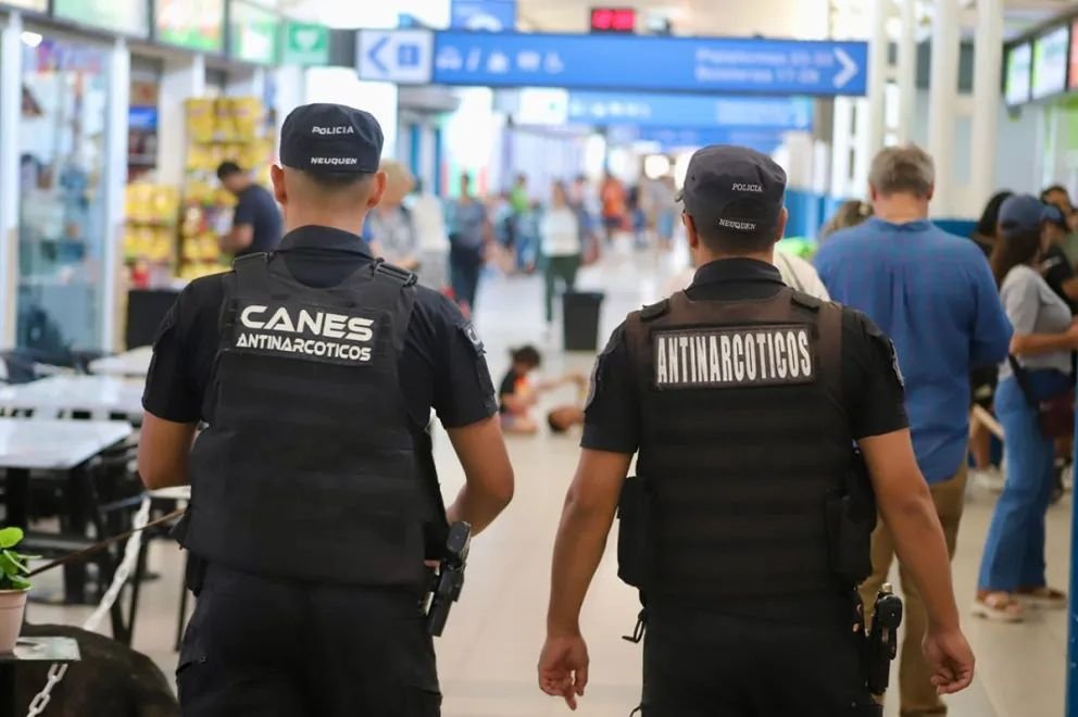 Más de 254 kilos de droga ya fueron retirados de circulación en Neuquén