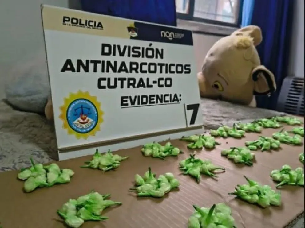 Duro golpe al narcomenudeo en Cutral Co