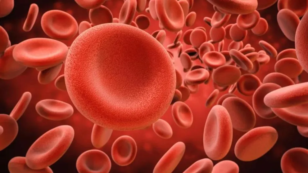 El giro en el tratamiento de uno de los cánceres de sangre más frecuentes del país