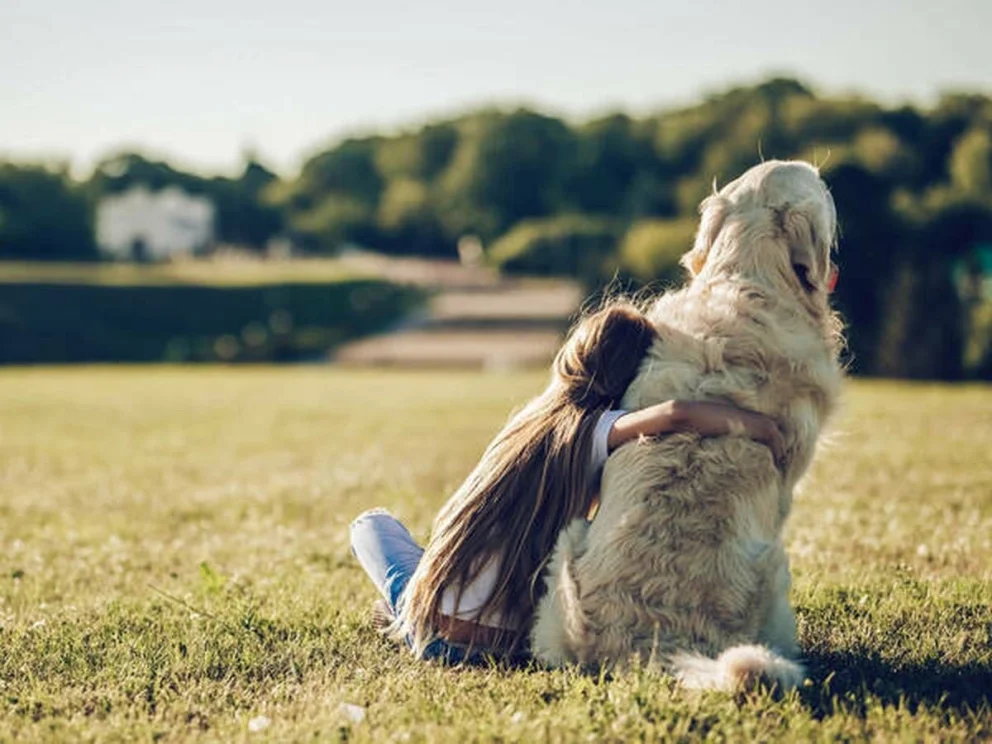 Día del Perro: las mejores razas para convivir con niños