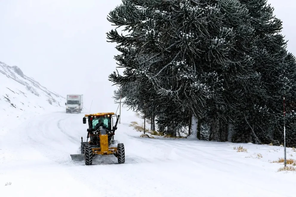 Alerta por nevadas para este miércoles 22 de julio en la provincia de Neuquén